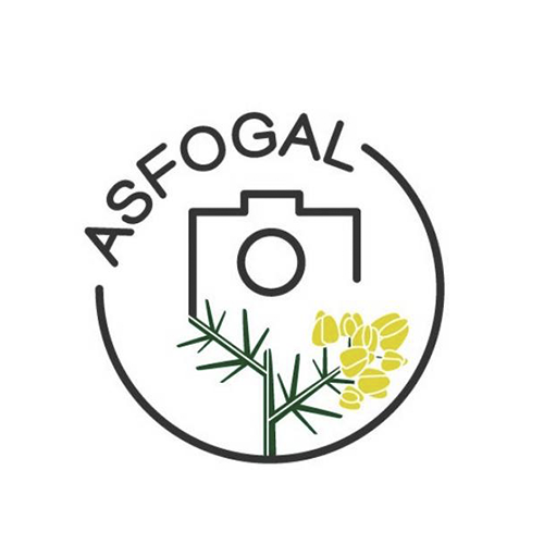 logos-fepfi-asociaciones- 50-ASFOGAL